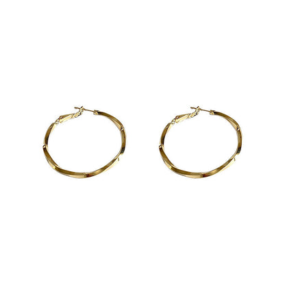 French Metal Circle Earrings Earrings New Women's Douyin Explosive Plain Circle Unique Temperament Earrings