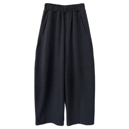 Korean wool plush texture, high-waisted elastic, casual, versatile straight-leg trousers, women's winter new style