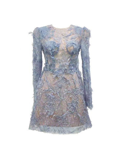 Long Sleeve 3D Lace Mini Dress