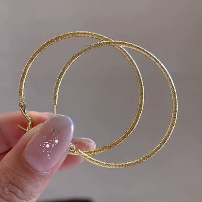 French Metal Circle Earrings Earrings New Women's Douyin Explosive Plain Circle Unique Temperament Earrings