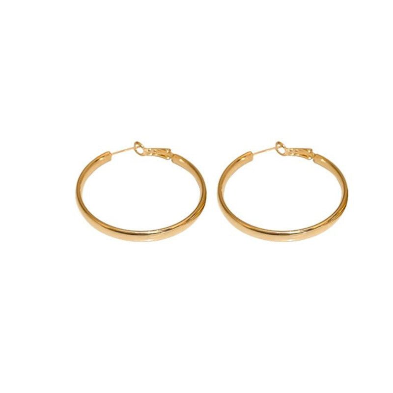 French Metal Circle Earrings Earrings New Women's Douyin Explosive Plain Circle Unique Temperament Earrings