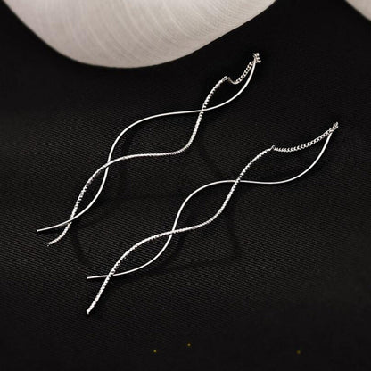 New Wave Earrings Women's Light Luxury Niche Design Sense Long Geometric Earrings Fashion Commuter Long Fringed Earrings