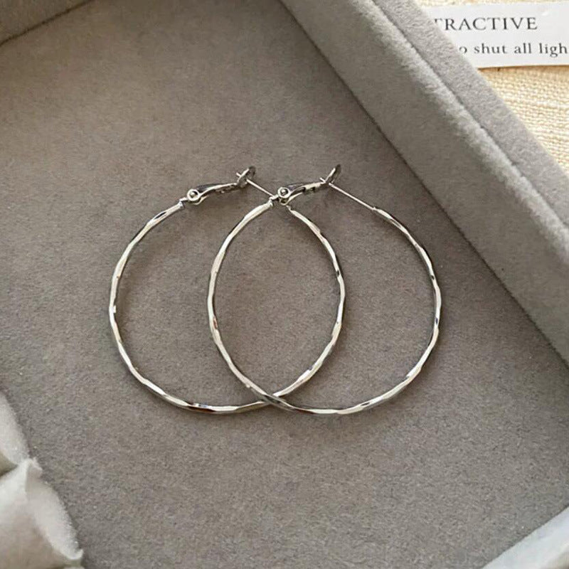 French Metal Circle Earrings Earrings New Women's Douyin Explosive Plain Circle Unique Temperament Earrings