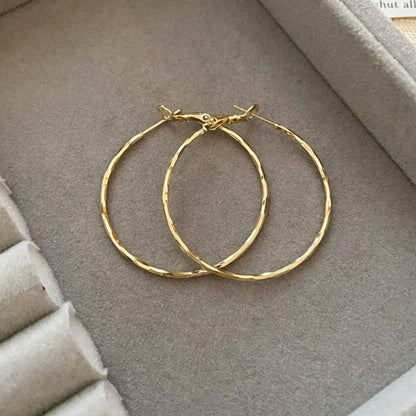 French Metal Circle Earrings Earrings New Women's Douyin Explosive Plain Circle Unique Temperament Earrings