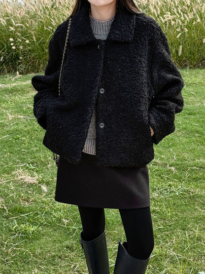 Niche design sense lamb wool lapel jacket women's winter new single-breasted short thermal top