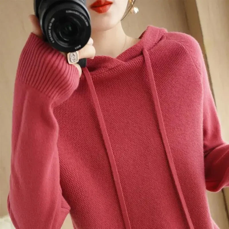 Hooded Knit Sweater Long Sleeve Regular Fit Pullover