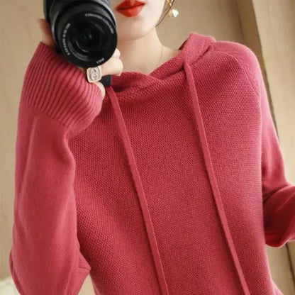 Hooded Knit Sweater Long Sleeve Regular Fit Pullover