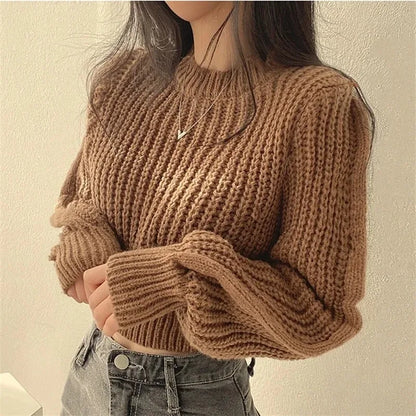 Round Neck Lantern Sleeve Knit Sweater Long Sleeve Loose Fit