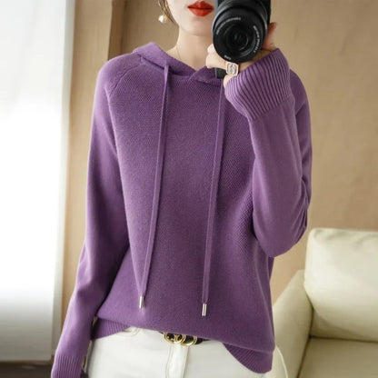 Hooded Knit Sweater Long Sleeve Regular Fit Pullover