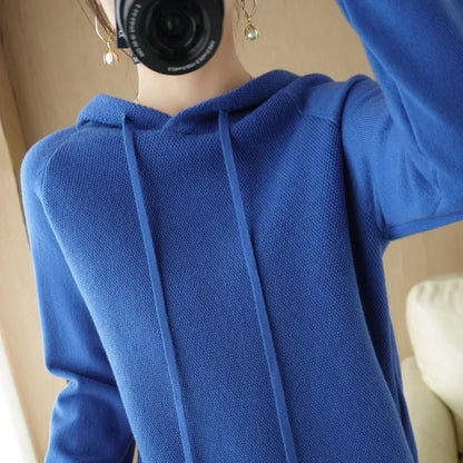 Hooded Knit Sweater Long Sleeve Regular Fit Pullover