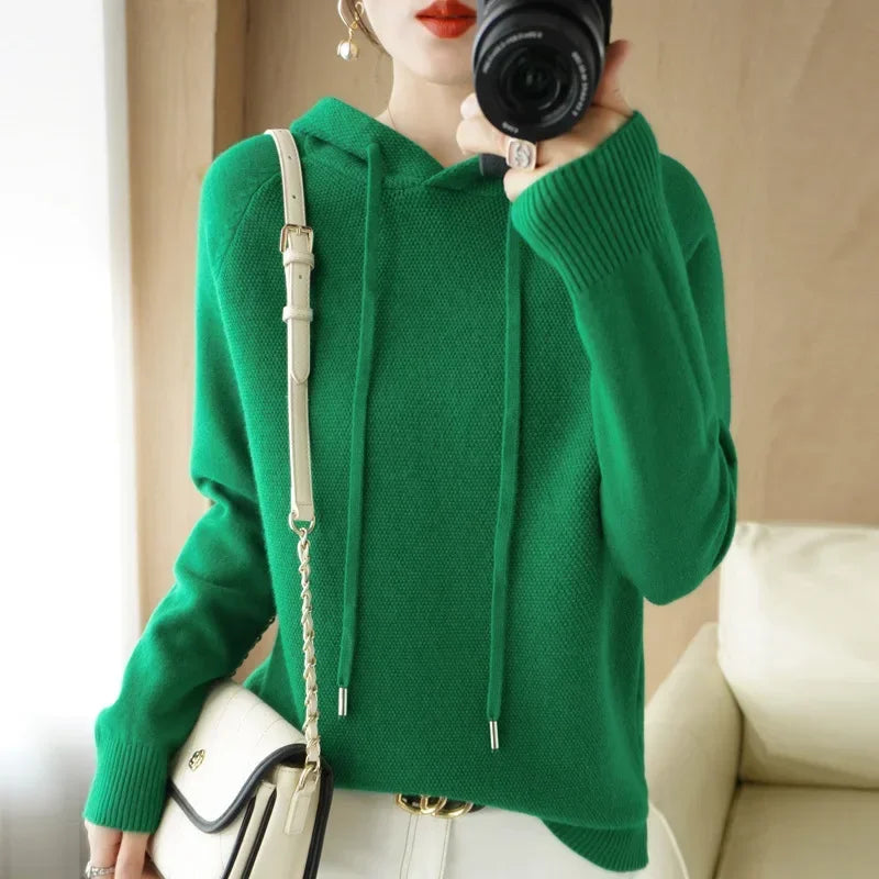 Hooded Knit Sweater Long Sleeve Regular Fit Pullover