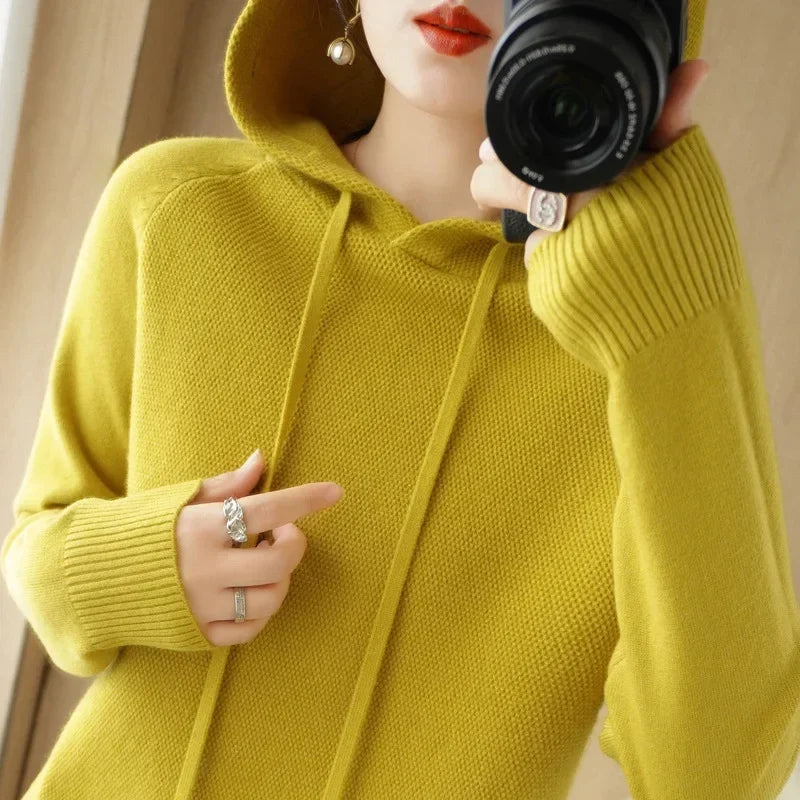 Hooded Knit Sweater Long Sleeve Regular Fit Pullover