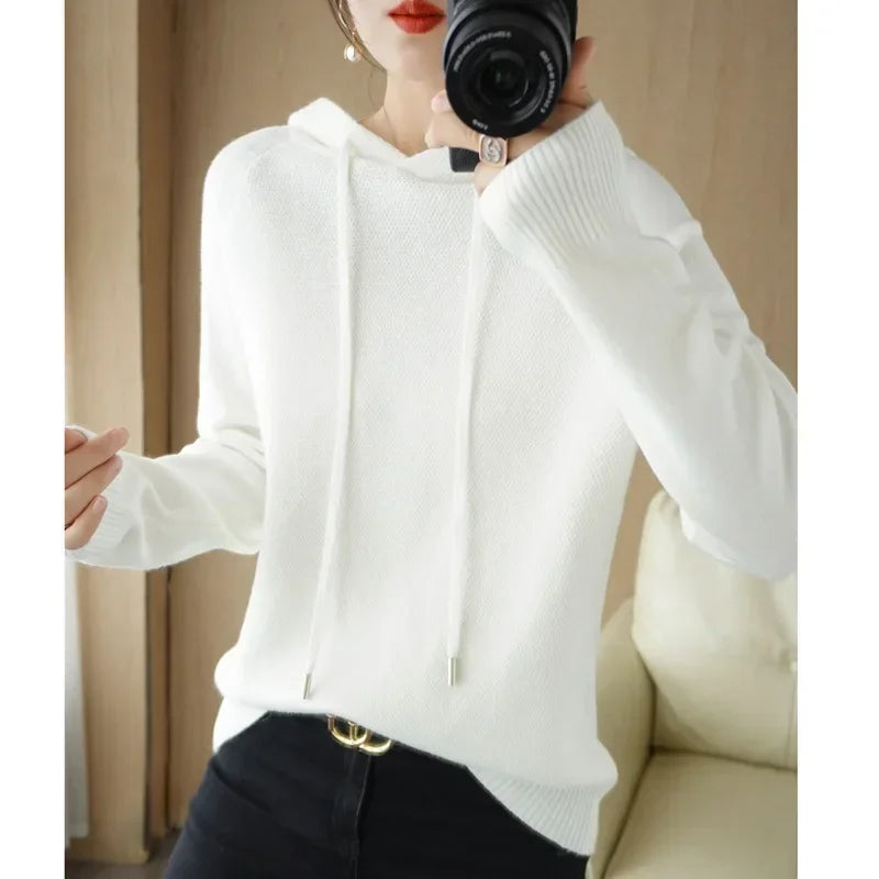 Hooded Knit Sweater Long Sleeve Regular Fit Pullover