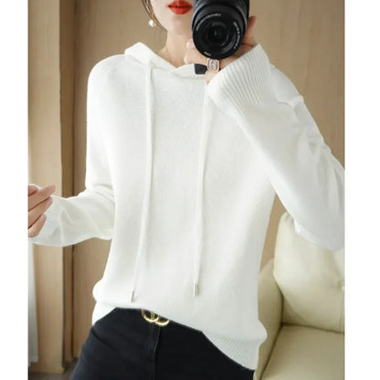 Hooded Knit Sweater Long Sleeve Regular Fit Pullover